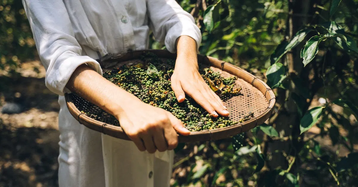 Culture durable : 5 pratiques essentielles pour un avenir respectueux de l’environnement
