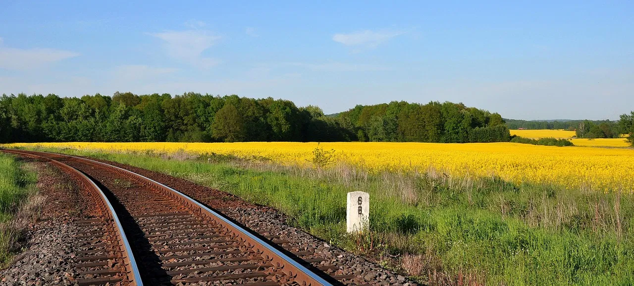 T&E remet en question le bilan carbone des biocarburants, alors qu’ils refont surface dans les débats européens