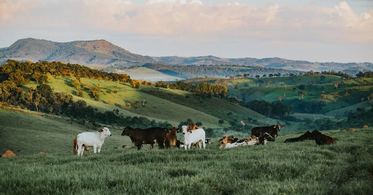 Agroécologie : Une solution durable pour l’agriculture moderne