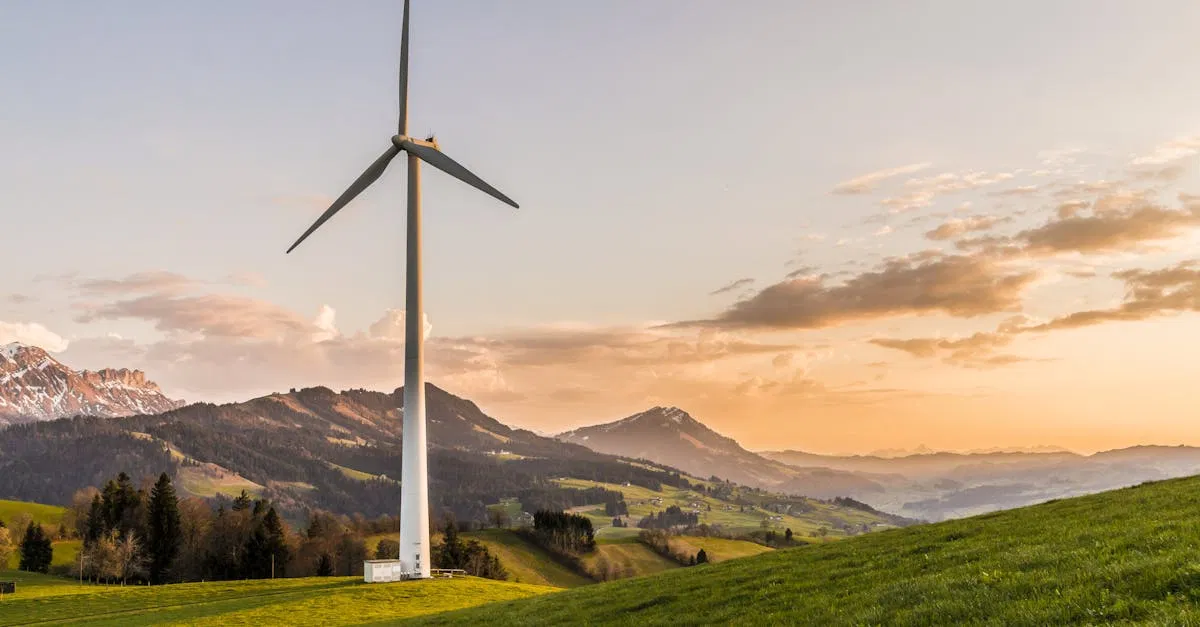 Planète durable : Comment adopter un mode de vie éco-responsable
