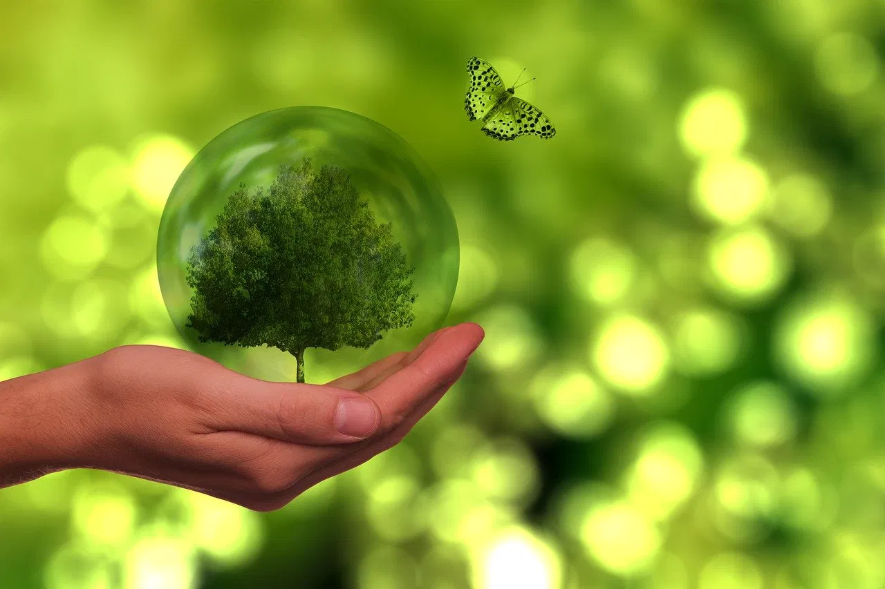 État actuel de notre planète : enjeux et solutions pour un avenir durable
