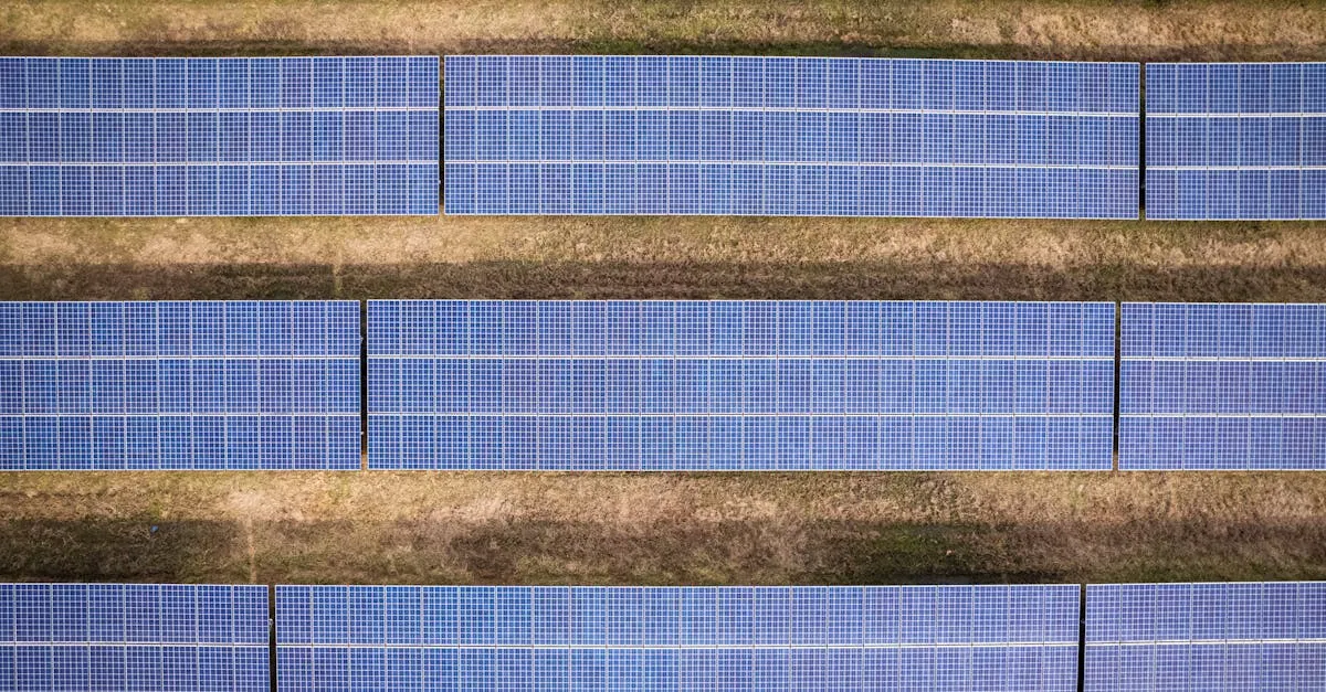 Loi sur la transition énergétique : enjeux et perspectives pour un avenir durable