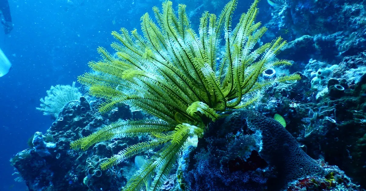 Écosystème : Comprendre son importance pour la biodiversité